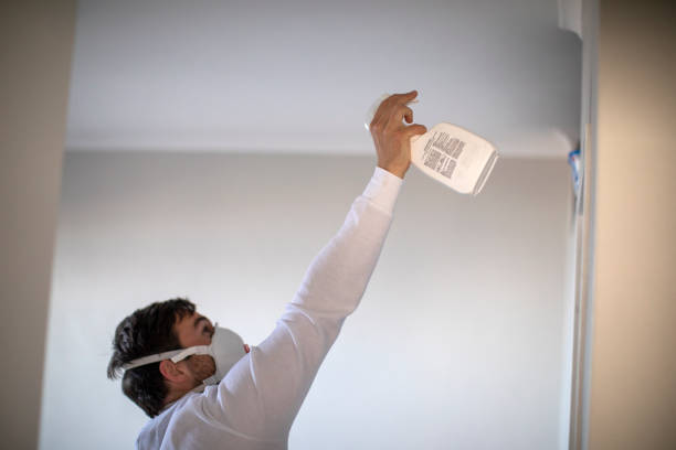 Best Water Damage Restoration  in Pleasant Hill, MS